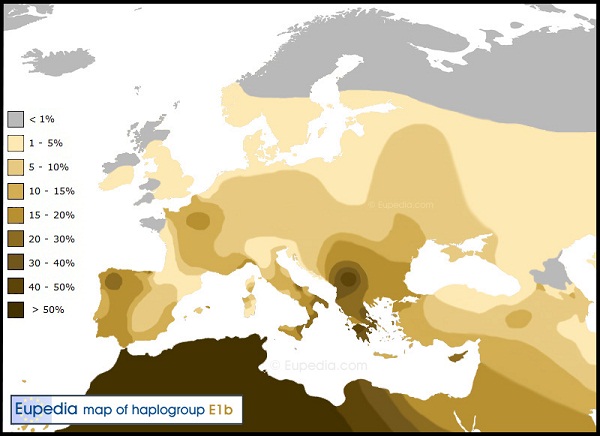 Rpartition haplotype E1b