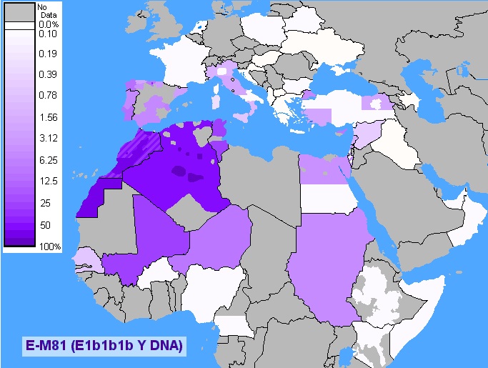 carte haplotype E1b1b1b