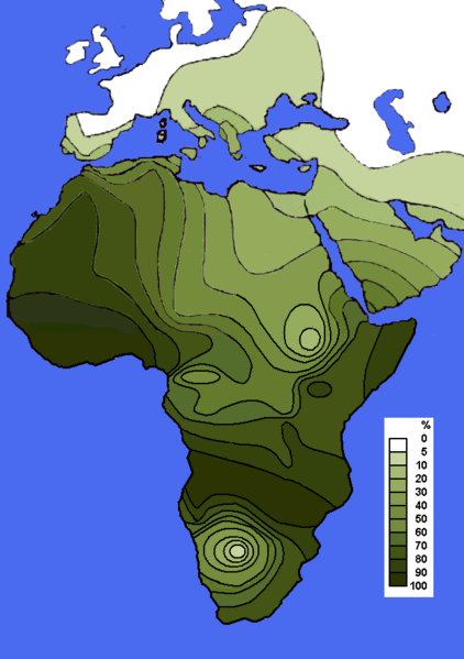 Rpartition haplogroupe E