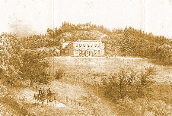 La route menant  Plantation House