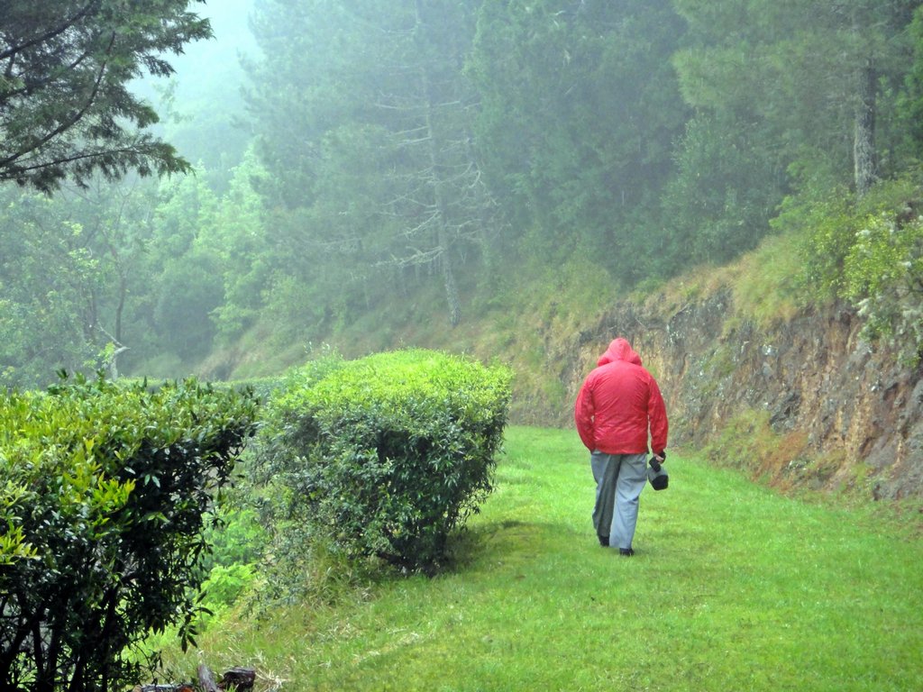 Chemin de la Tombe