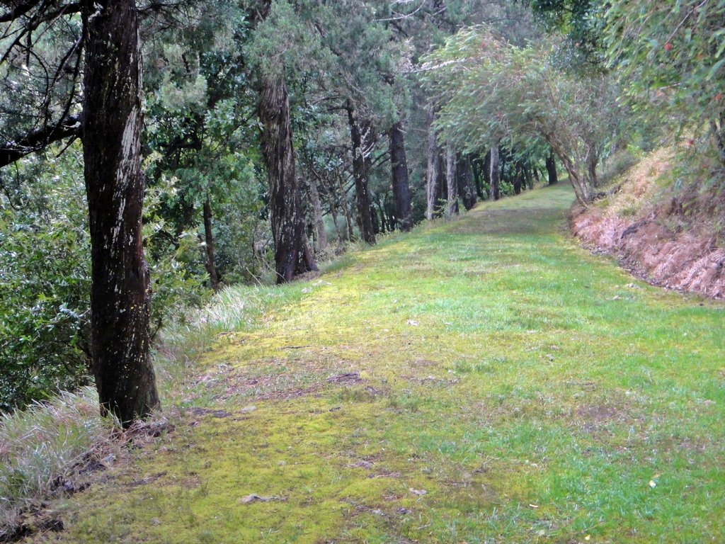 Chemin vers la Tombe